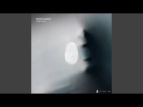 Cybernetic Echoes (Original Mix)