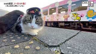 Vol.94「にゃん旅鉄道」仕事終わりの楽しみにゃ