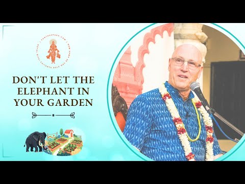 Don't Let The Elephant in Your Garden | HG Vaisesika Dasa | KIR-Ter Kadamb | 24 Oct 2025