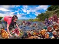 How To Find Diamond Amethyst Black Stone Gems I Found Lots Of Precious Pink Gems In The River