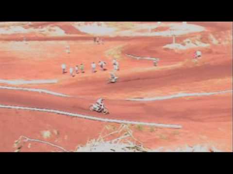 Deninho leste descalvado