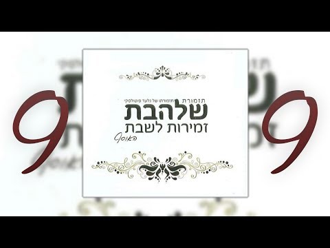 מחרוזת שירי שבת [9] I גלעד פוטולסקי ותזמורת שלהבת * Shabbos songs Shalhevet Orchestra