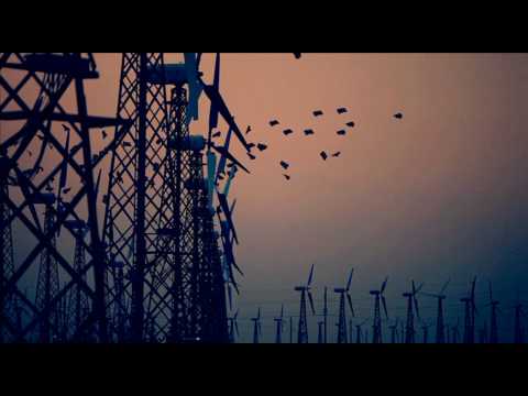 Tomato Jaws - Feel Me (Official Video)