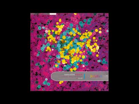 Insanity Sect - Solar Prophet