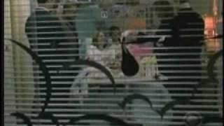 Sc�nes DL