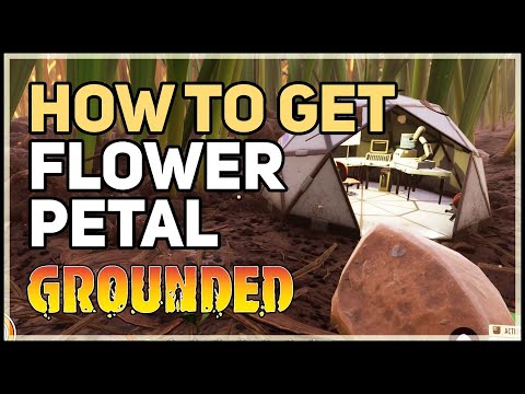 Grounded Flower Petal Location