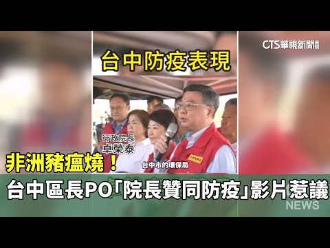 非洲豬瘟燒！　台中區長PO「院長贊同防疫」影片惹議