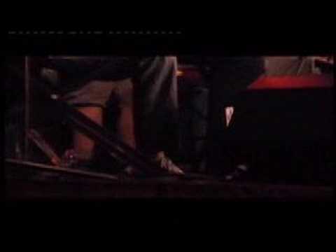 Secret Stealth - Dream of You