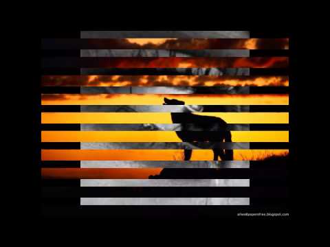 -Por Que Chora a Tarde- - Milionario e José Rico