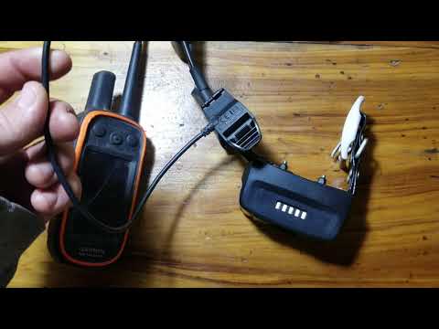 Garmin Alpha 100 TT15 Collar Not Charging (How To Fix)