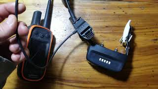 Garmin Alpha 100 TT15 Collar Not Charging (How To Fix)