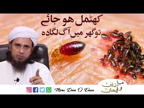 khatmal ho jain to ghar ma aag laga do Mufti Tariq Masood