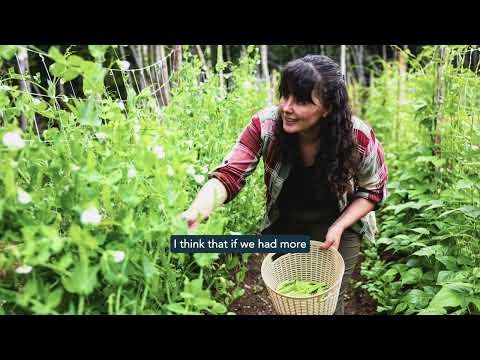 MMSB Champions for a Greener Future – Upper Humber Settlement