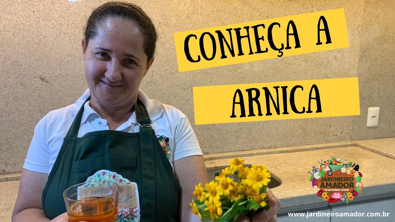 Conheça as propriedades medicinais da arnica