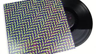 Animal Collective - Lion In A Coma