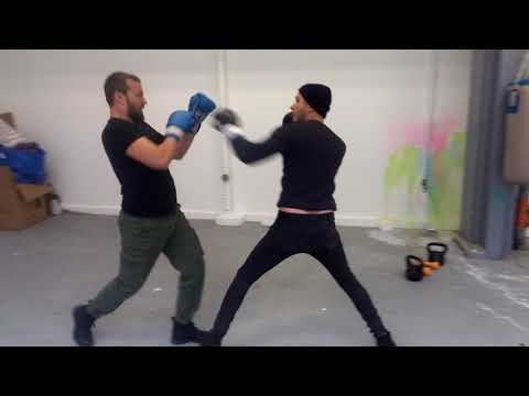 boxing artist austin lee vs poet nikola tosic