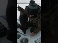 Video Thumbnail for Slapping Huge Walleye Very Soon