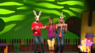 So Many Animals - Live On Stage