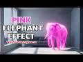 The Pink Elephant Effect | Why Your Brain Works Against You
