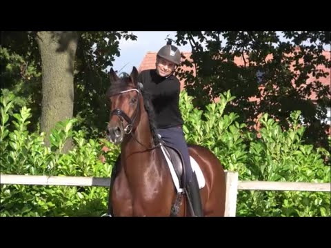 FOR KINGDOM - www.deckstation-kandziora.de