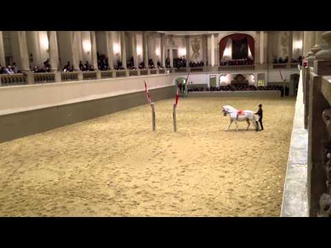 Spanische Reitschule Wien Video 2