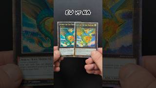 Popularity! #yugioh #tcg #fun #new #reels #shorts #foryou #fyp #like #subscribe #viral #share #wow
