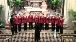 Der Gärtner (J. Brahms) - Genova Vocal Ensemble