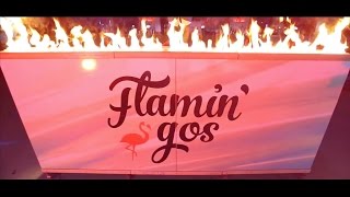 Flaming'os - Circus Show promo