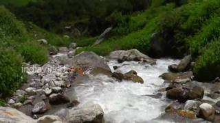 Pushpavathi River, Valley of Flowers, Uttarakhand 