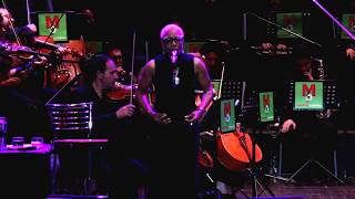 ANGELS OF THE NIGHT - Dee Dee Bridgewater &amp; MAXIMAorchestra