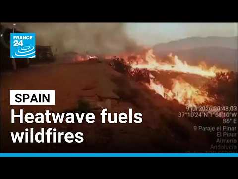 Wildfires rage across Spain as heatwave fuels flames