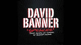 David Banner Feat. Akon, Lil&#39; Wayne, &amp; Snoop Dogg - Speaker (Alternate Explicit Version)