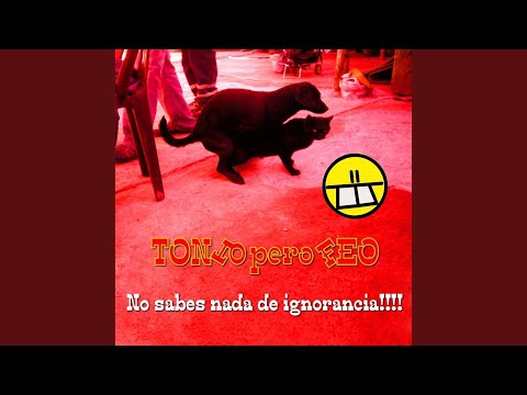 Mire Que Tanto - Tonto pero feo