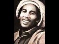 Bob Marley - Every little thing is going to be ...