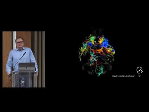 Karel Svoboda - The multi-regional neural circuits underlying cognitive behaviors (Cosyne 2019)