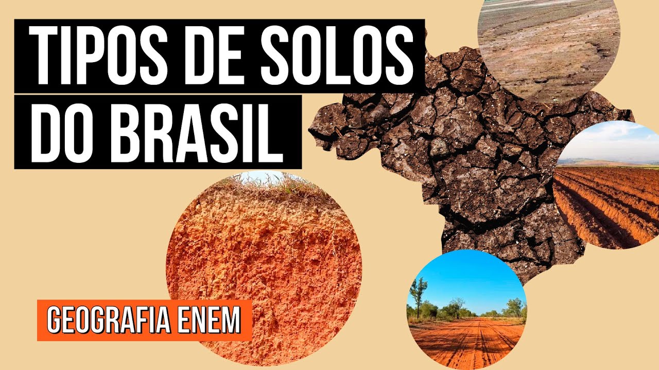 TIPOS DE SOLOS DO BRASIL: composição e características | Geografia para o Enem | Raphael Carrieri