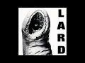 LARD - Time to Melt (vinyl version)