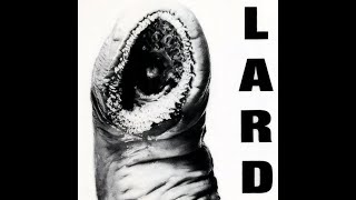 LARD - Time to Melt (vinyl version)