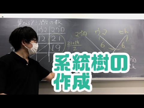 系統樹について詳しく解説