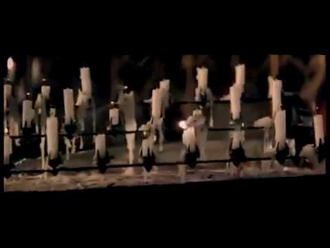 Fatboy Slim - Demons ft. Macy Gray [Official Music Video]