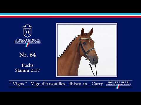 Holsteiner Körlot 2018 | Nr. 64 - VIGOS v. Vigo d'Arsouilles - Ibisco xx