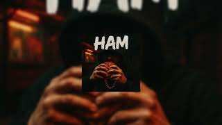 Download lagu Pengu - HAM (prod. by Ali Demirel) mp3