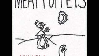Meat Puppets- "Buckethead"