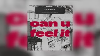 Goosey - Can U Feel It video