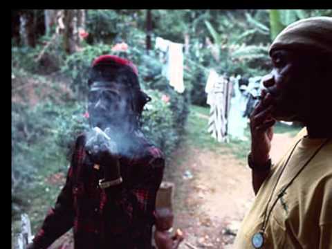 download lagu mp3 mp4 Kali Weed, download lagu Kali Weed gratis, unduh video klip Kali Weed