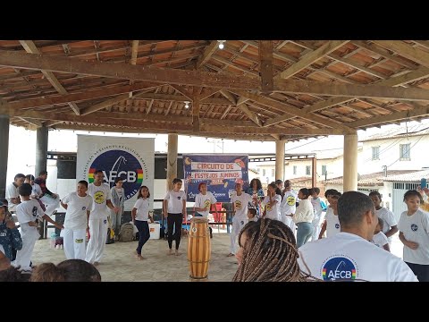 ideias cultuais, capoeira mudando vidas