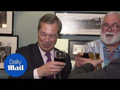 Nigel Farage toasts David Cameron - Daily Mail