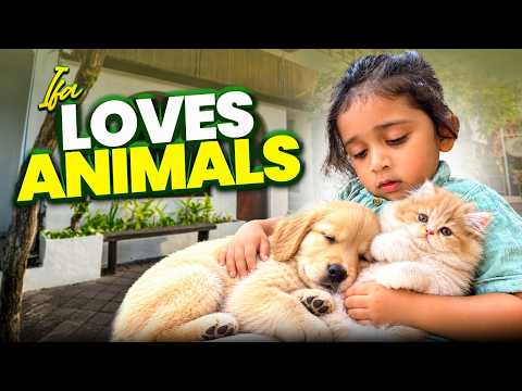 Ifa’s Little World of Animals😂❤️