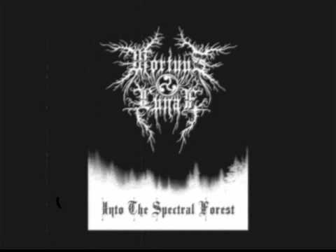 MORTUUS LUNAE - Nel Silenzio Del Gelo Misantropico