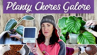 A Day of Planty Chores + Trying RainPoint Watering System and Life Updates (Car Accident #2)